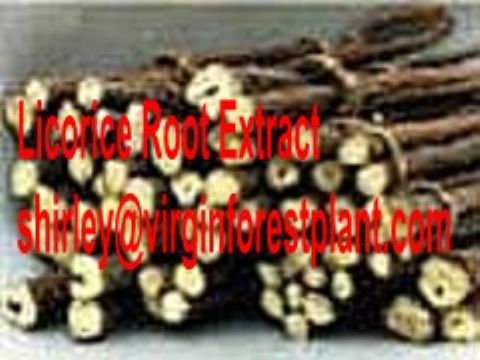 Licorice Root Extract (Shirley At Virginforestplant Dot Com)